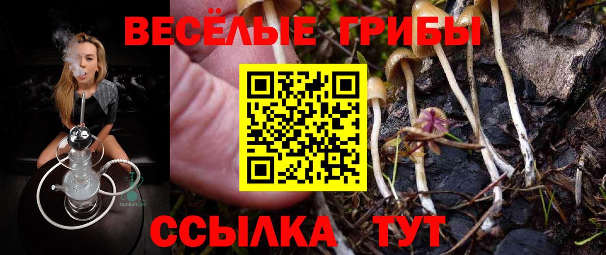 Электрогорск  Псилоцибиновые грибы GOLDEN TEACHER  Вход с VPN  Псилоцибиновые грибы Magic Shrooms 