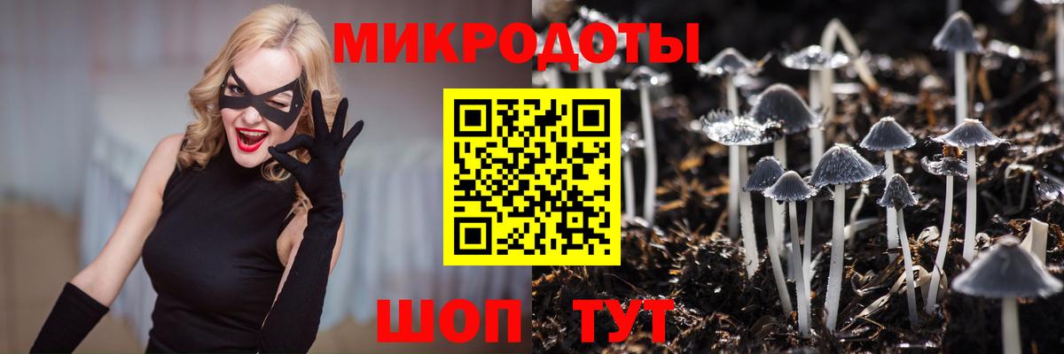 Галлюциногенные грибы мухоморы Электрогорск